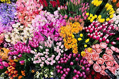 手绘风猫猫解谜游戏《麦洛和圣诞礼物》应景免费发布