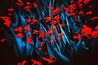 《鬼灭之刃：火神血风谭》公布付费DLC角色包 今夏上线