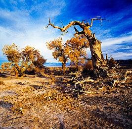 Steam全球愿望单排名 《消逝的光芒2》排名第一